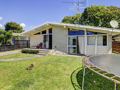 66 Tongariro Street, Chartwell