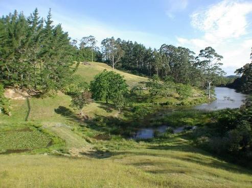 77 Wiroa Road, Kerikeri
