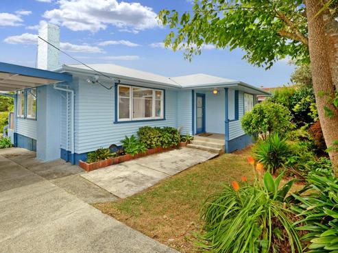 41 Verbena Road, Birkdale