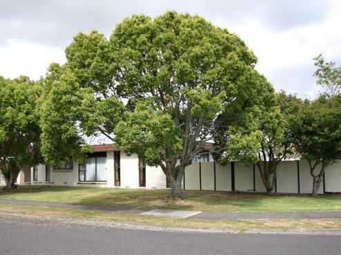 1 Mahana Road, Ngatea