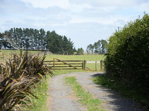 218 Kauri Road, Onewhero