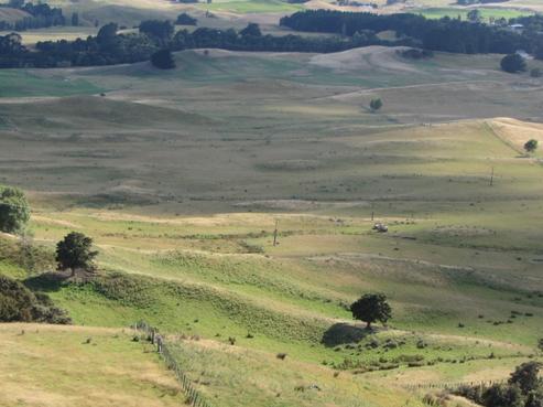 11074 Route 52, Pongaroa