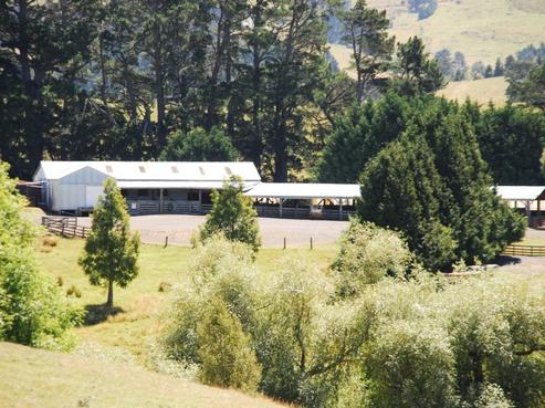 278 Hinerua Road, Ongaonga