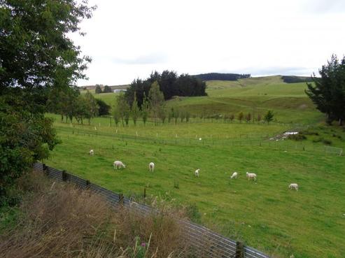 261 Boag Road, Gore Surrounds