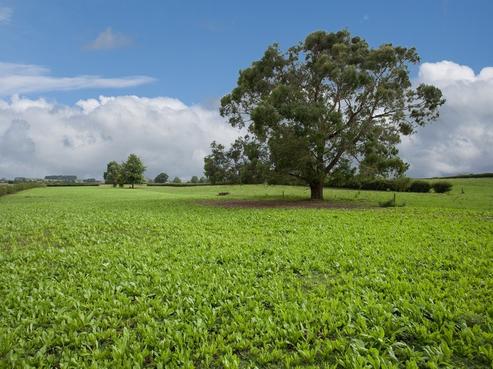 272 Grice Road, Rotoorangi