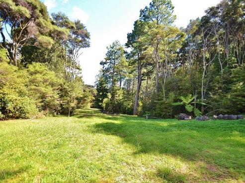 44A Crows Road, Swanson