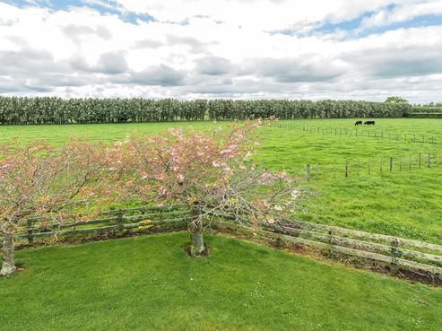 83 Watt Livingstone Road, Westmere