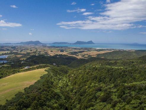442 Prescott Road, Ruakaka
