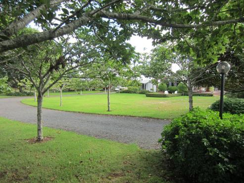 43 Lewis Road, Karaka