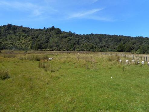 265 Marsden Road, Greymouth