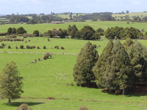 268 Mine Road, Whakapara