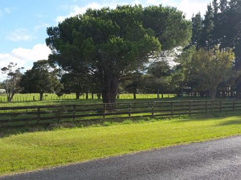 460 Waihoehoe Road, Drury