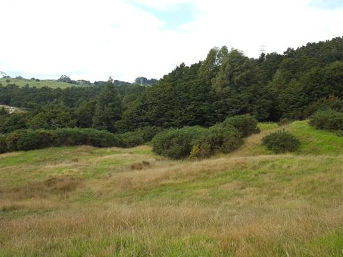 87 Kiwi Lane, Kaiwaka