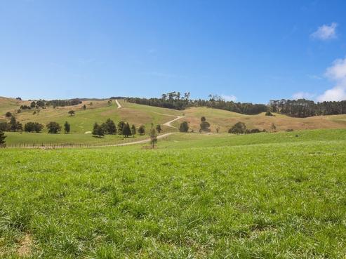 25 Parker Road, Otamatea Surrounds