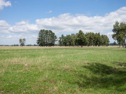 291 Wharepoa Road, Turua