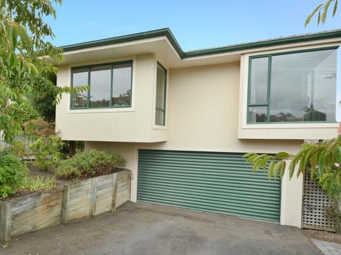 29A Butler Street, Maori Hill