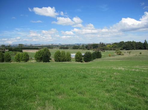 35 Jg Wilson Drive, Waipukurau and Surrounds