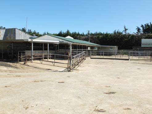 1136 Motu Rimu Road, Tisbury