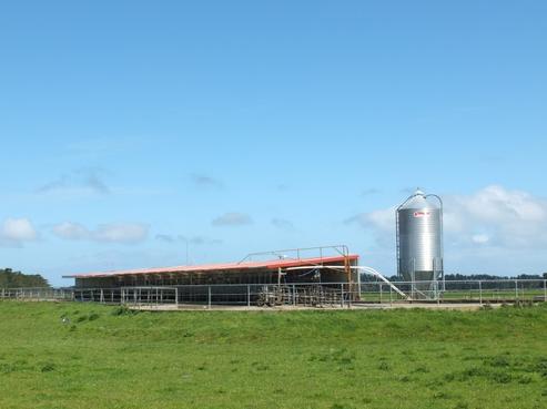 1107 Motu Rimu Road, Tisbury