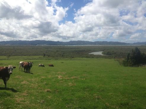 497 State Highway 1, Otaika