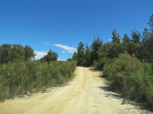 290 Central Road South, Upper Moutere
