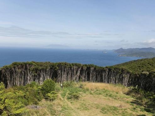 417 Schooner Bay Road, Great Barrier Island
