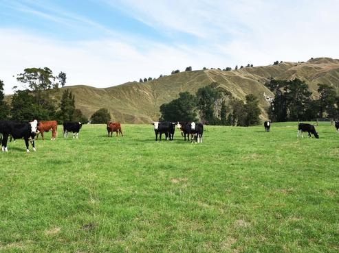 2303 Lake Road, Wairoa
