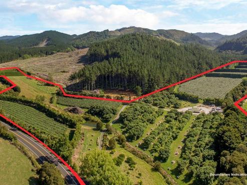 963 Tairua Road, Whangamata