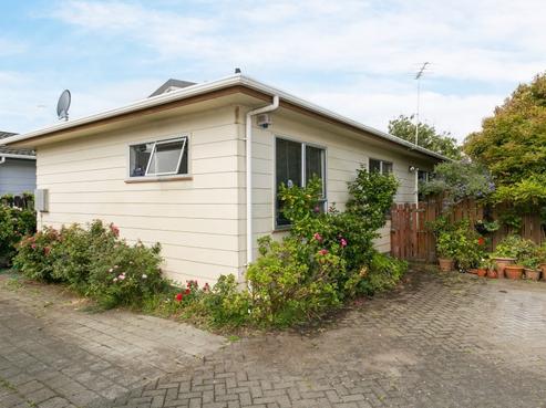 24A Plunket Avenue, Petone