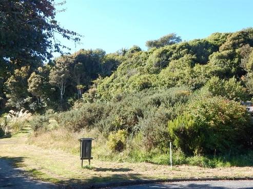 8 Heenan Place, Hokitika