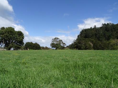 75 Otamakite Road, Puriri