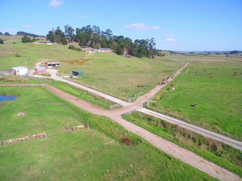 9 Jerebine Road, Dargaville Surrounds