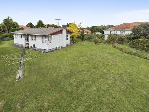 20 Bledisloe Terrace, Hamilton East