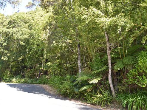 33 Joyces Road, Paihia