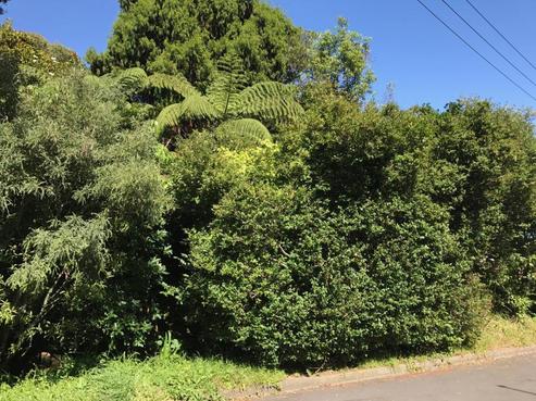11 Waitohu Road, York Bay