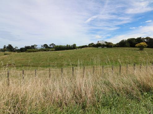 123C State Highway 3, Westmere