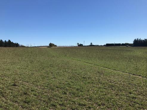 496 Rangiora Leithfield Road, Sefton