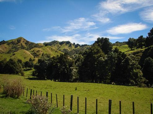 82 Carter Road, Taumarunui