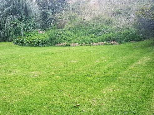 13 D'arcy Road, Bastia Hill