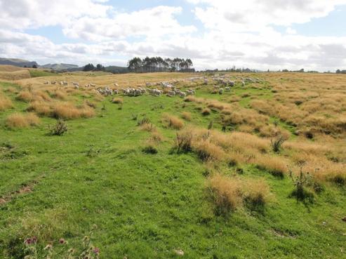 438 Tukairangi Road, Nukuhau