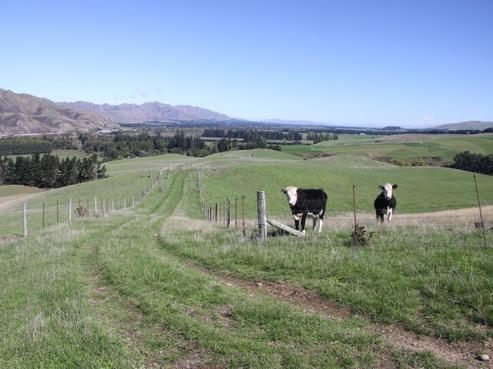 562 Leader Road West, Waiau