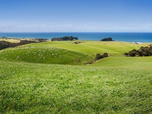 1020 Taieri Mouth Road, Brighton