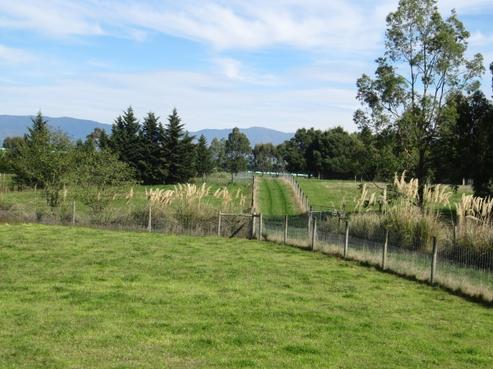 18 Sutherlands Road, Pleasant Point