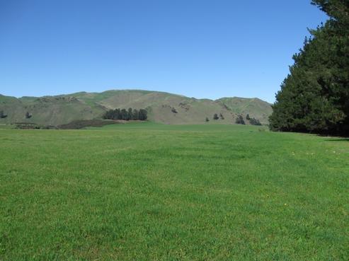 382 Inland Road, Waiau