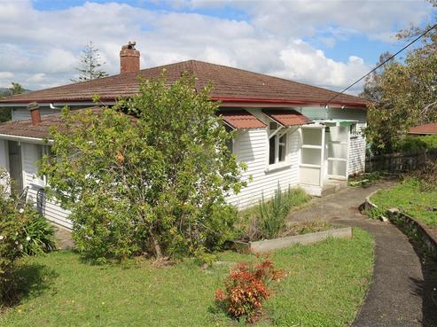 29 Bennett Street, Paeroa