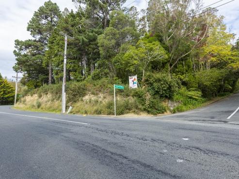 1 Freemans Way, Pinehaven