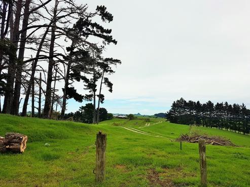 1355 Tokatoka Road, Ruawai