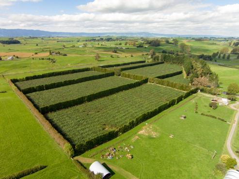 1661 Morrinsville-walton Road, Richmond Downs