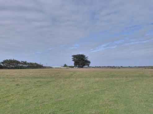 185 Roslyn Road, Roslyn Bush