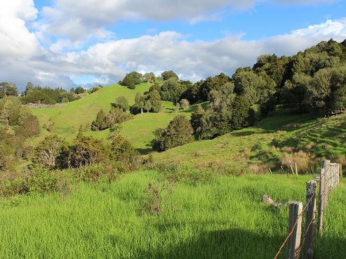 2173 Pipiwai Road, Kokopu